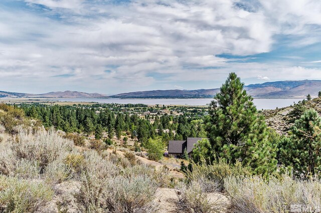 0 Bryan Canyon Rd, Washoe Valley, NV 89704 - photo 17
