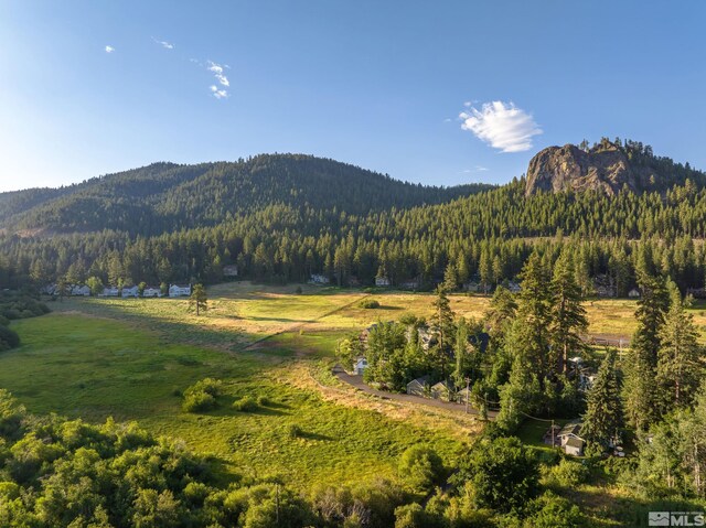 000 Glenbrook Rd, Glenbrook, NV 89413 - photo 2