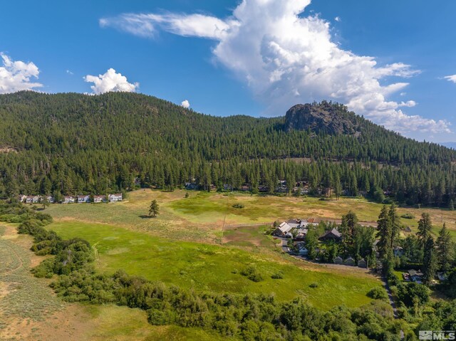 000 Glenbrook Rd, Glenbrook, NV 89413 - photo 11