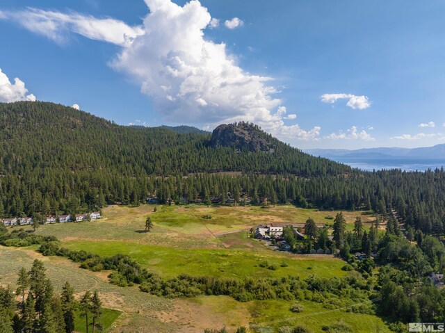 000 Glenbrook Rd, Glenbrook, NV 89413 - photo 35