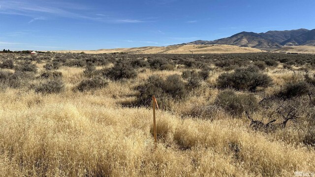 APN10045181 Germain Dr, Winnemucca, NV 89445 - photo 2