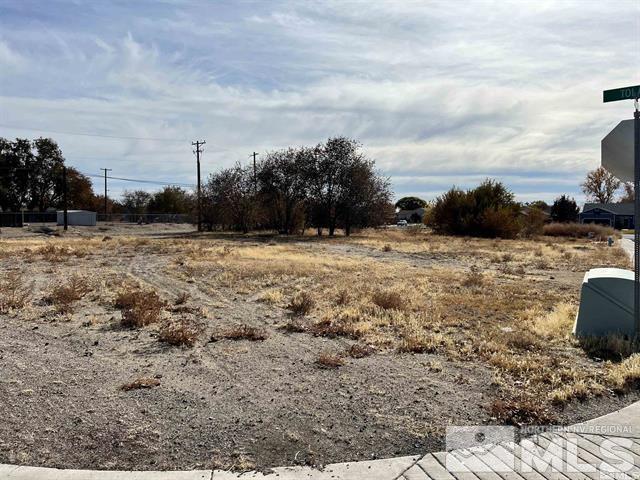 321 Silver Spur Dr, Fallon, NV 89406 - photo 2