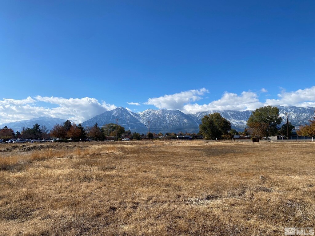 1391 Centerville Ln, Gardnerville, NV 89410 - photo 1