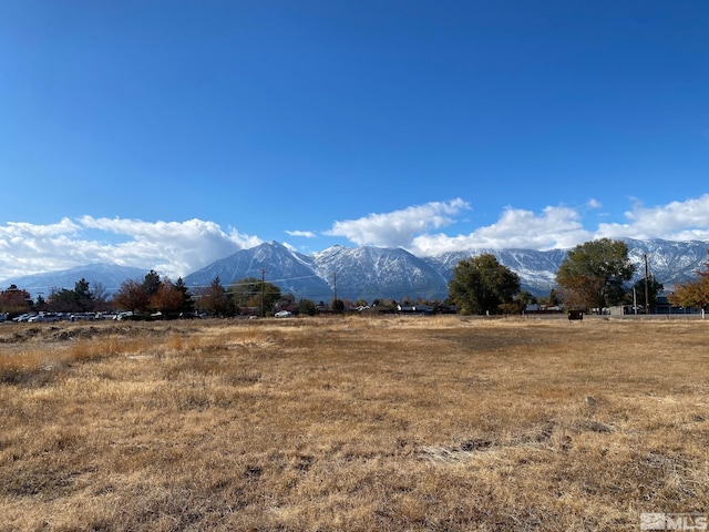 1391 Centerville Ln, Gardnerville, NV 89410 - photo 1