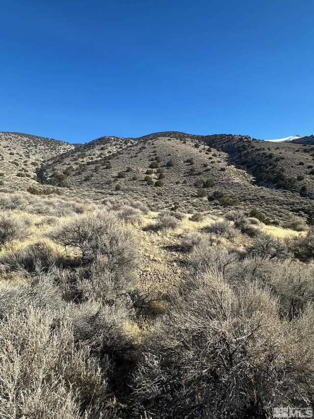 25500 Ramsey Rd, Lovelock, NV 89419