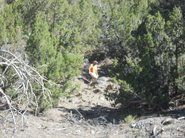 8210 Mill Creek Rd, Battle Mountain, NV 89820