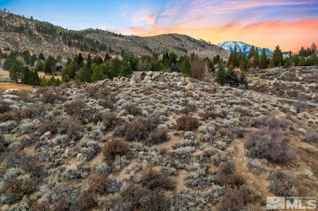 Hobart Rd, Carson City, NV 89703 - photo 2