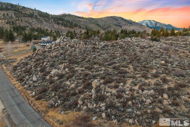 Hobart Rd, Carson City, NV 89703 - photo 6