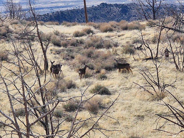 1800 Wrangler Rd, Reno, NV 89510 - photo 2