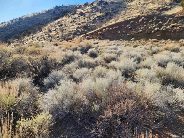 1800 Wrangler Rd, Reno, NV 89510 - photo 8