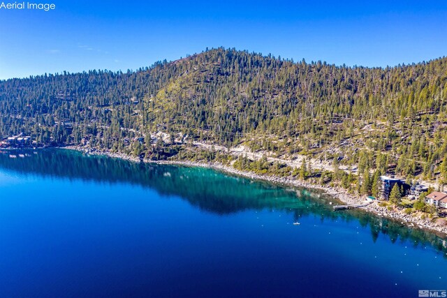 451 Lakeshore Blvd, Incline Village, NV 89451 - photo 5