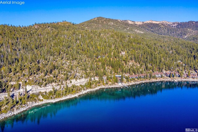 451 Lakeshore Blvd, Incline Village, NV 89451 - photo 8