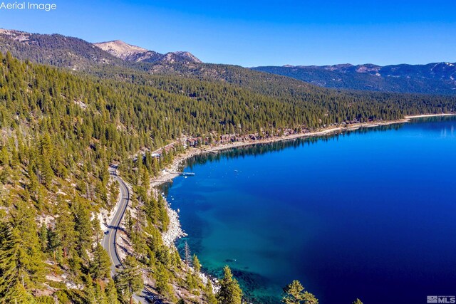 451 Lakeshore Blvd, Incline Village, NV 89451 - photo 10