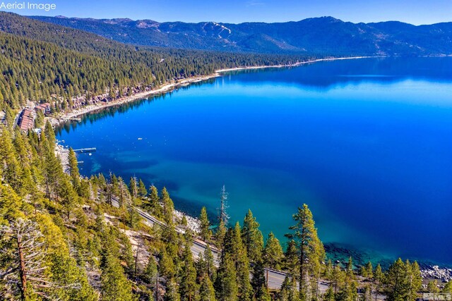 451 Lakeshore Blvd, Incline Village, NV 89451 - photo 11