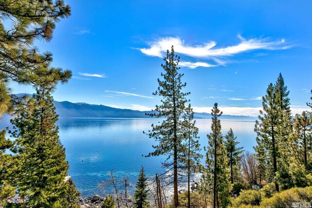 451 Lakeshore Blvd, Incline Village, NV 89451 - photo 21