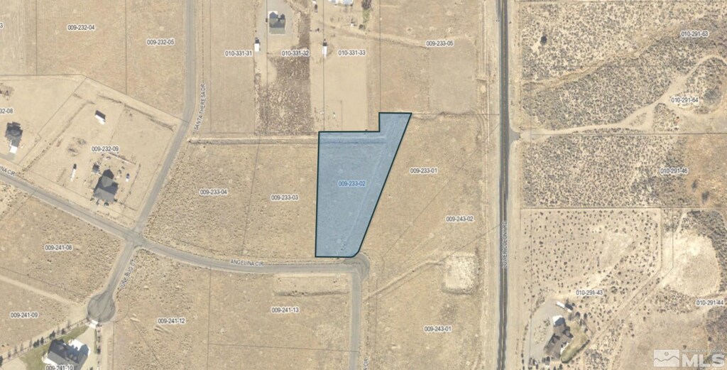 341 Angelina Cir, Wellington, NV 89444 - photo 1