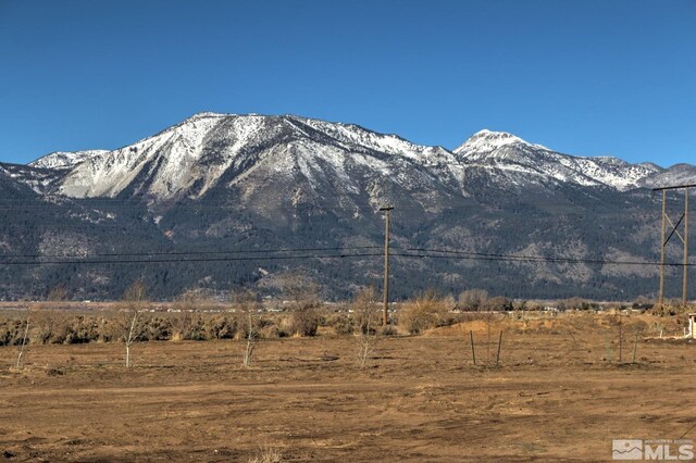 4800 Leo Bingo Ct, Washoe Valley, NV 89704 - photo 1