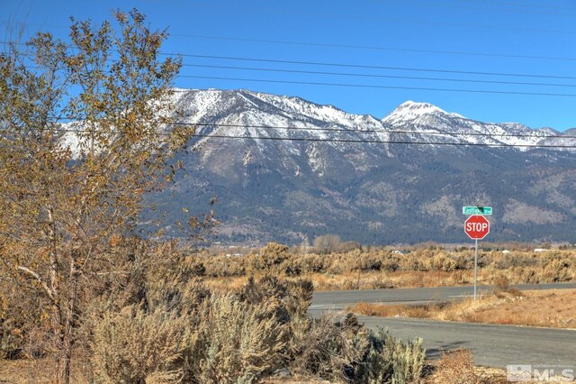 4800 Leo Bingo Ct, Washoe Valley, NV 89704 - photo 3
