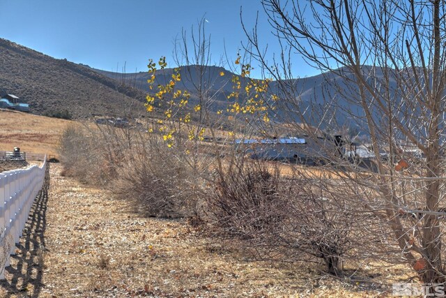 4800 Leo Bingo Ct, Washoe Valley, NV 89704 - photo 5