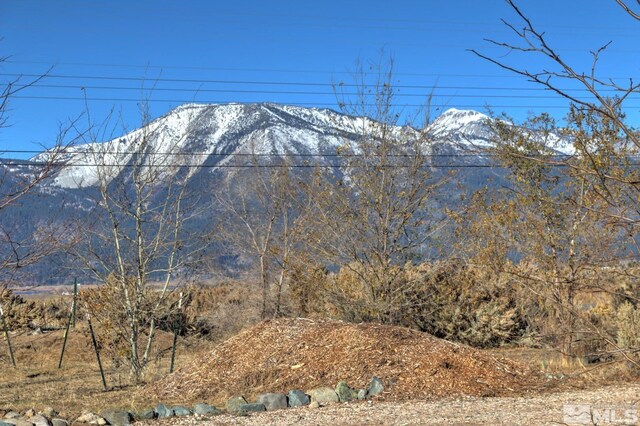 4800 Leo Bingo Ct, Washoe Valley, NV 89704 - photo 6