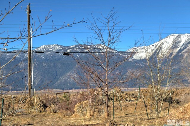 4800 Leo Bingo Ct, Washoe Valley, NV 89704 - photo 7