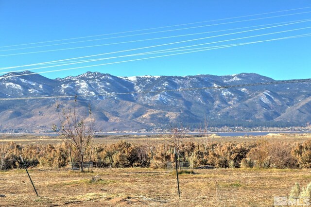 4800 Leo Bingo Ct, Washoe Valley, NV 89704 - photo 8