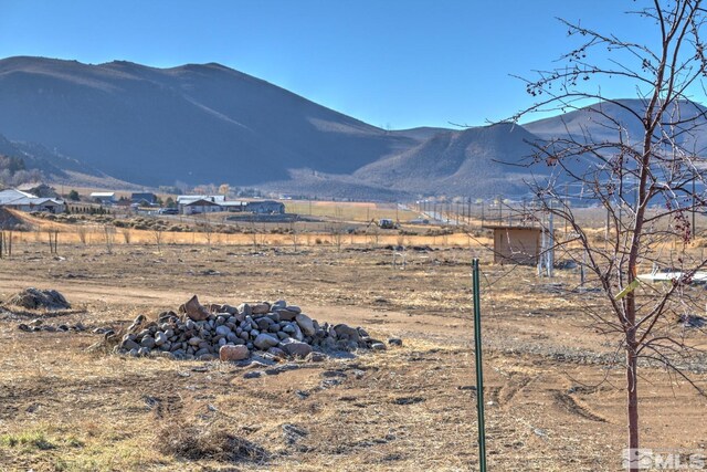 4800 Leo Bingo Ct, Washoe Valley, NV 89704 - photo 10