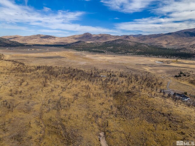 778 Big Valley Rd, Gardnerville, NV 89410 - photo 10