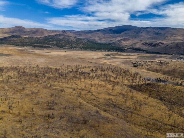 778 Big Valley Rd, Gardnerville, NV 89410 - photo 11