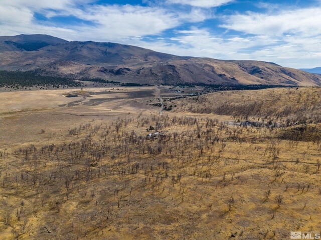 778 Big Valley Rd, Gardnerville, NV 89410 - photo 13
