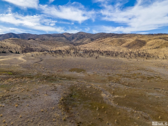 778 Big Valley Rd, Gardnerville, NV 89410 - photo 15