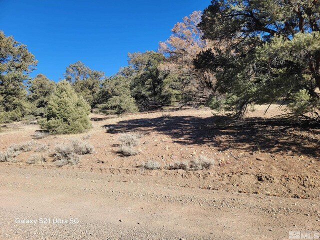 1450 Yellowjacket Rd, Reno, NV 89521 - photo 2