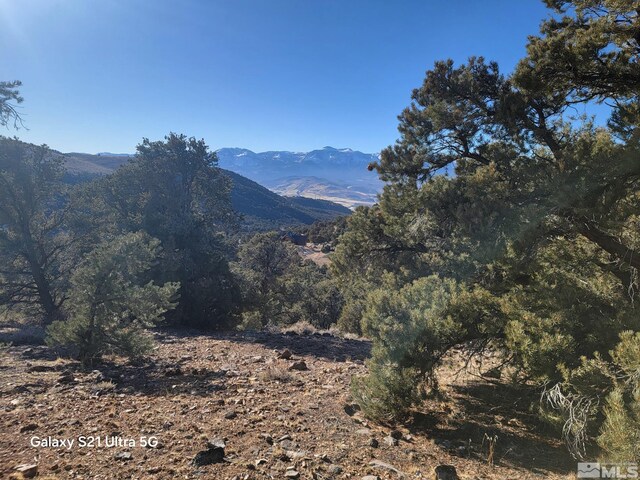 1450 Yellowjacket Rd, Reno, NV 89521 - photo 6