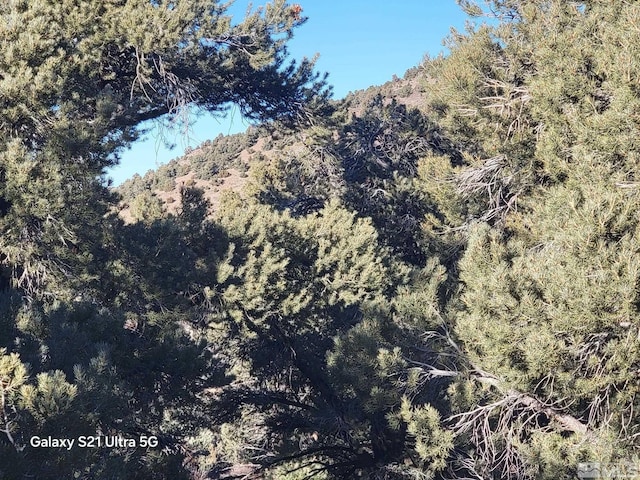 1450 Yellowjacket Rd, Reno, NV 89521 - photo 8