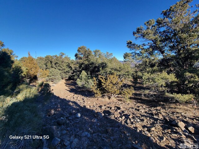1450 Yellowjacket Rd, Reno, NV 89521 - photo 9