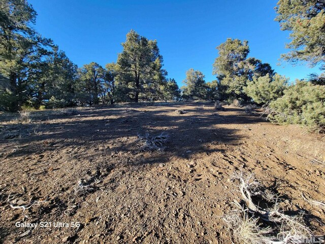 1450 Yellowjacket Rd, Reno, NV 89521 - photo 10