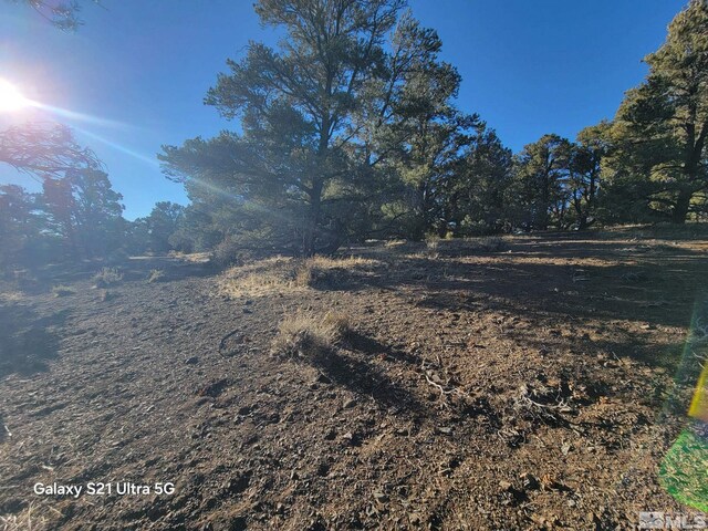 1450 Yellowjacket Rd, Reno, NV 89521 - photo 11