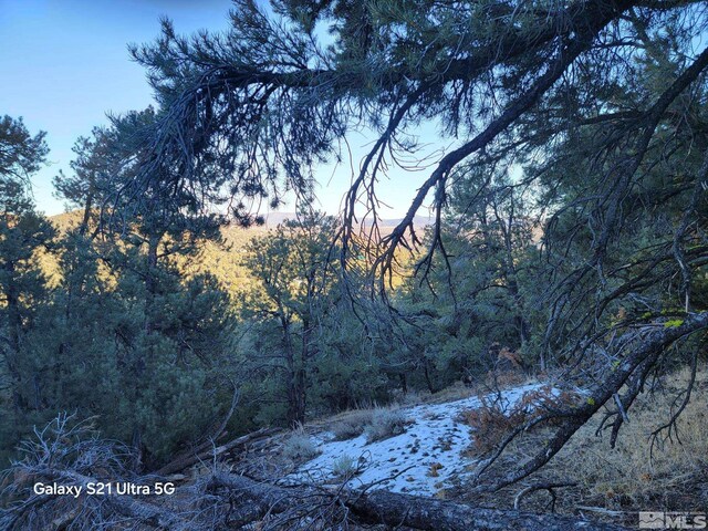 1450 Yellowjacket Rd, Reno, NV 89521 - photo 13