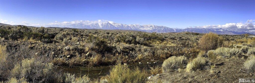 TBD Bray Way, Gardnerville, NV 89410