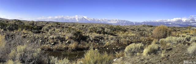 TBD Bray Way, Gardnerville, NV 89410