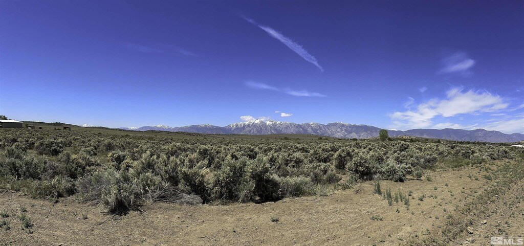 TBD Bray Way, Gardnerville, NV 89410