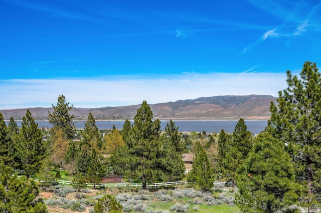 7440 Bryan Canyon Rd, Washoe Valley, NV 89704