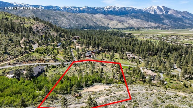 7440 Bryan Canyon Rd, Washoe Valley, NV 89704