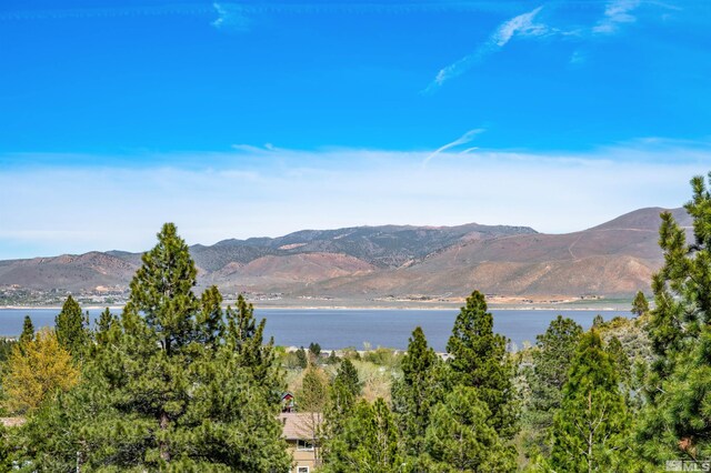 7440 Bryan Canyon Rd, Washoe Valley, NV 89704