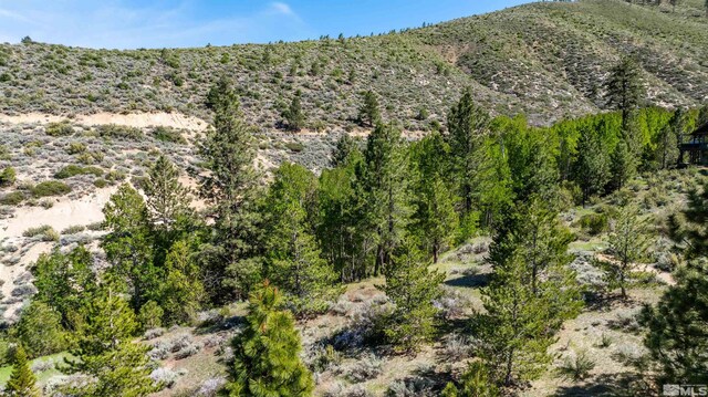 7440 Bryan Canyon Rd, Washoe Valley, NV 89704