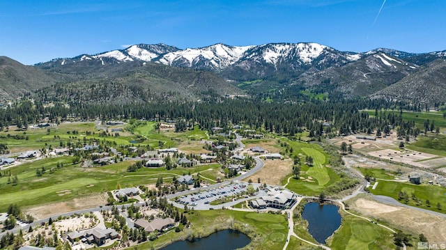 7440 Bryan Canyon Rd, Washoe Valley, NV 89704