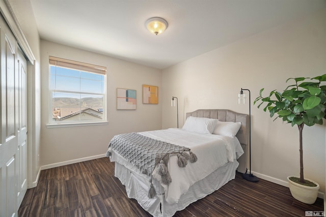 2590 Spring Flower Dr, Reno, NV 89521 - bedroom featuring baseboards and dark wood finished floors