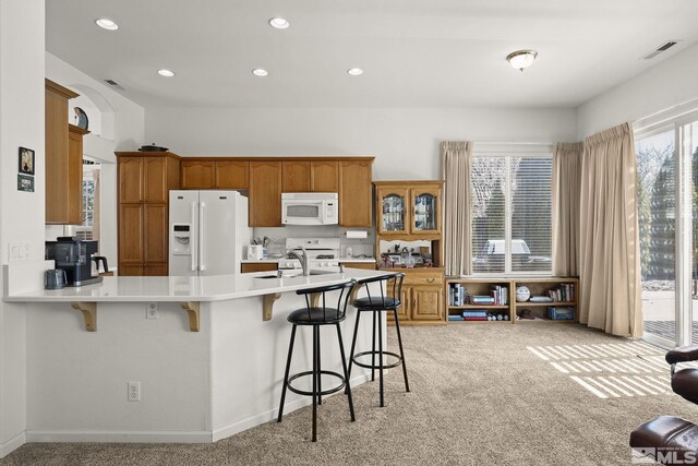 3131 Manzana Ct, Sparks, NV 89436 - photo 9