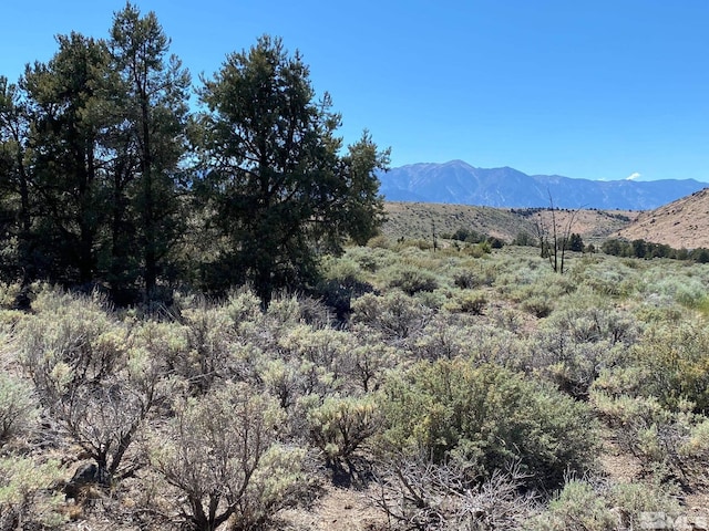 TBD Pine Nut, Gardnerville, NV 89410