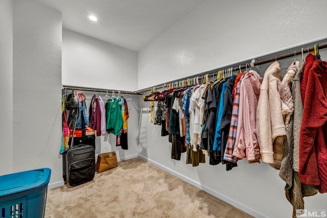 2248 Musselshell Dr, Sparks, NV 89436 - spacious closet with carpet